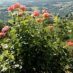 Ca' Vernaccia *