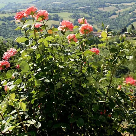 Country House Ca' Vernaccia *